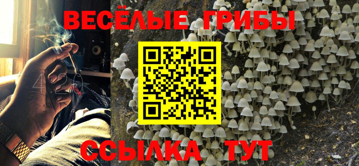 Зерноград  Галлюциногенные грибы мухоморы  Вход с VPN  Галлюциногенные грибы Magic Shrooms 